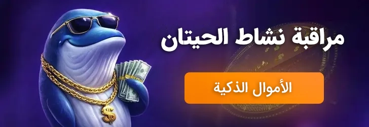 رصد رفتارهای نهنگ های ارز دیجیتال با رادار پول هوشمند - ترو ترید