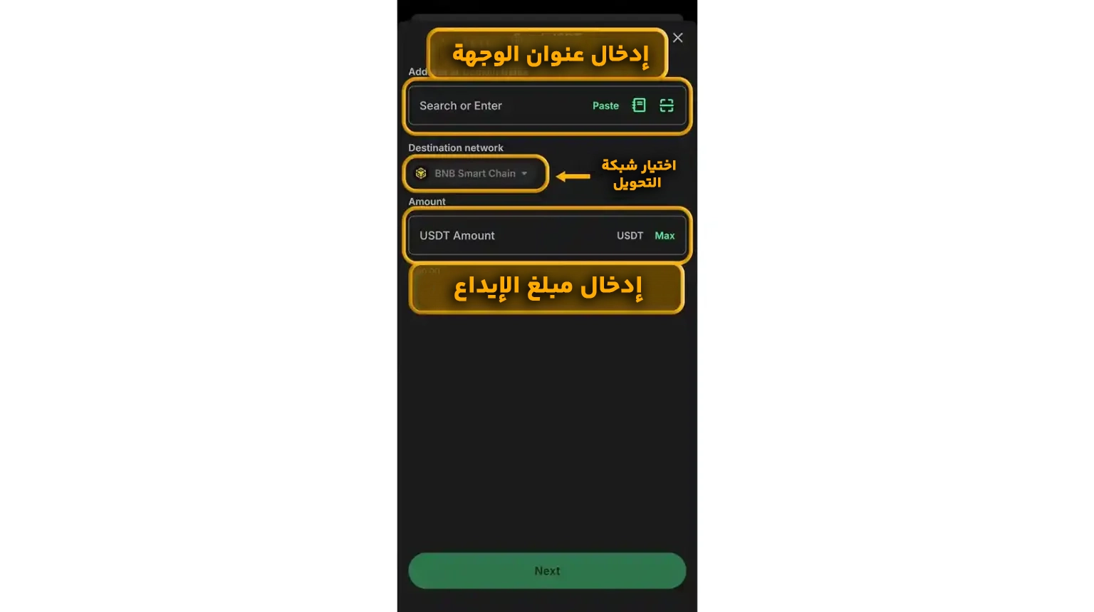 إدخال عنوان المنصة وتأكيد المعاملة (Confirm)