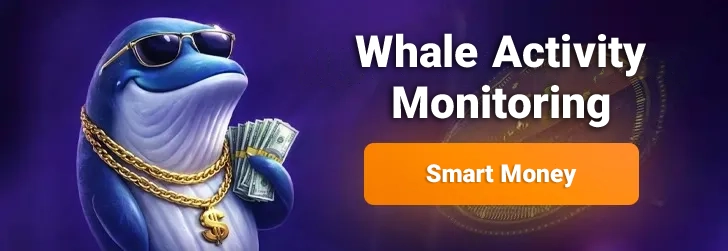 Monitoring the Behavior of Cryptocurrency Whales with Smart Money Radar - The True Trade