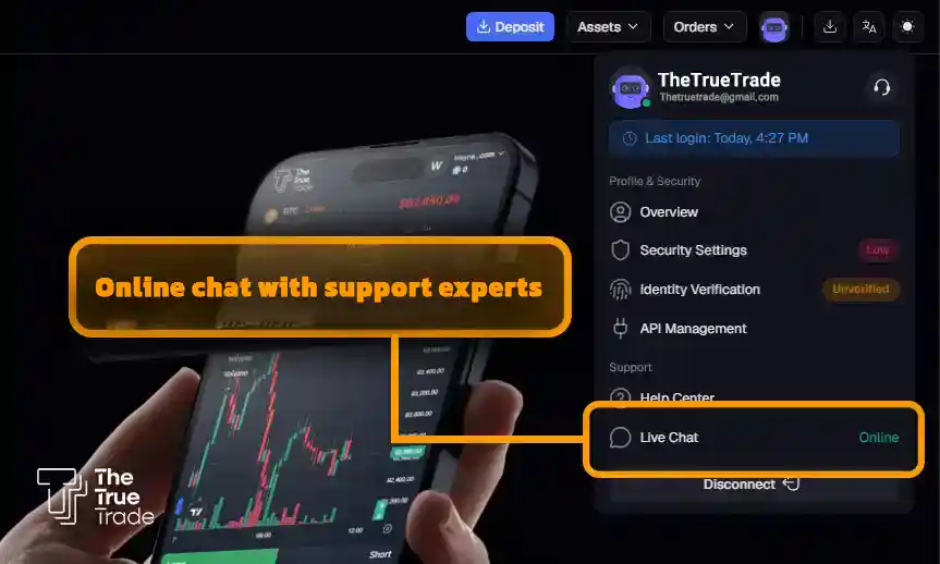 Online chat with support experts