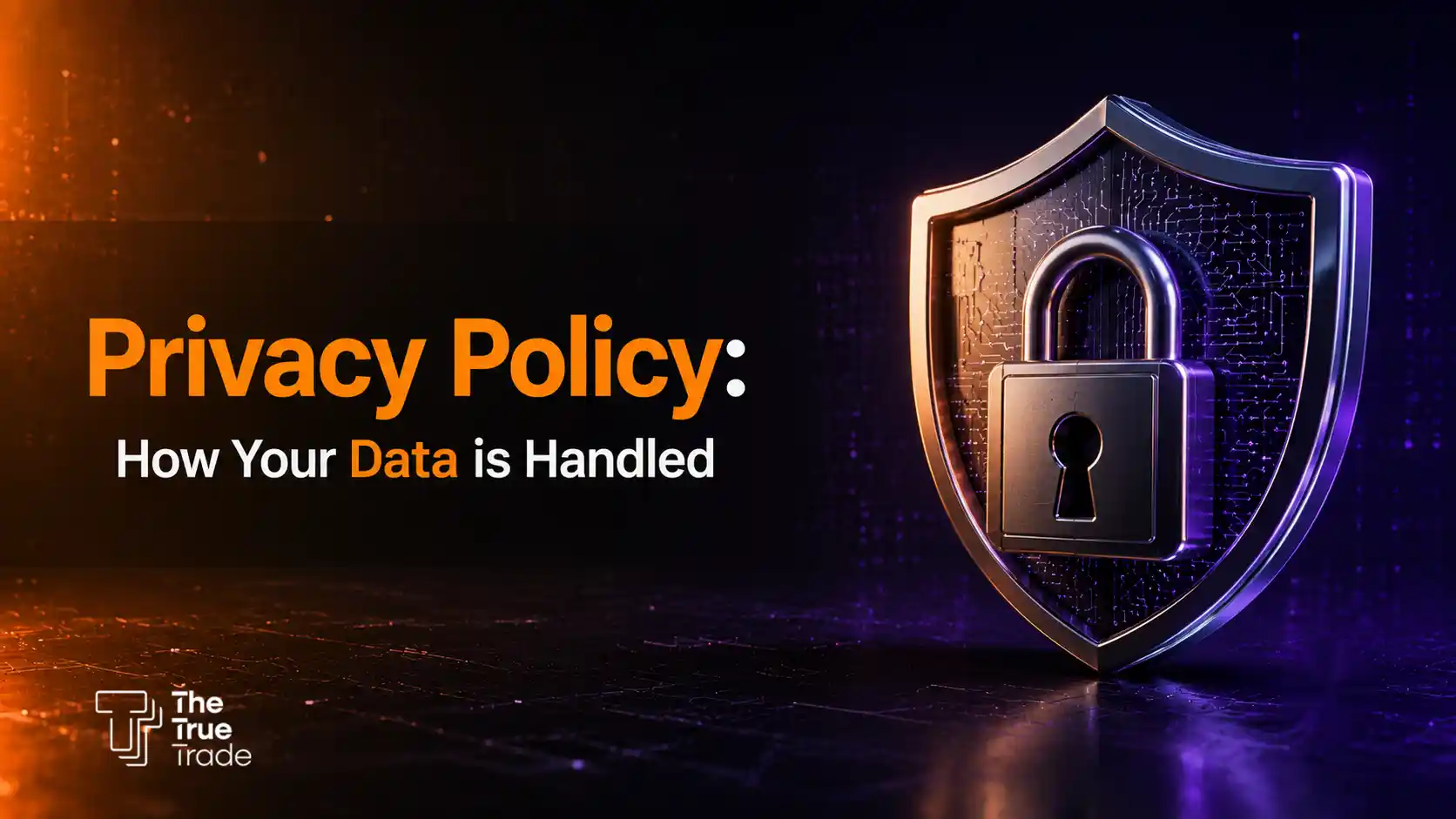 Privacy Policy: How Your Data is Handled