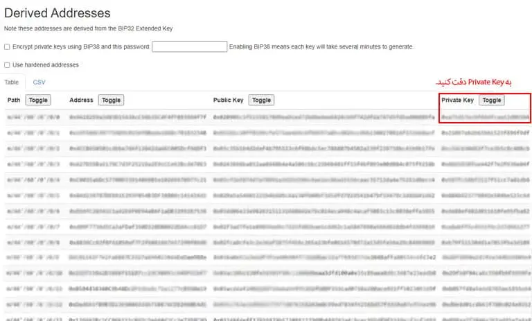 حالا کلید خصوصی کیف پول BNB را از لیست Derived Addresses انتخاب کنید.