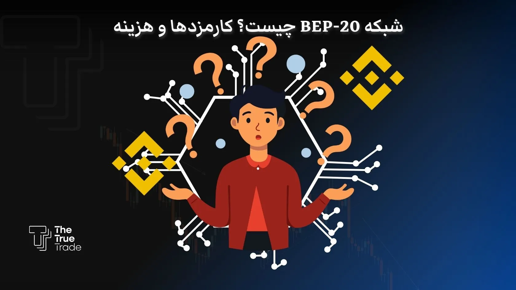 شبکه bep-20 چیست؟ مقایسه و تفاوت شبکه BEP2 با BEP20