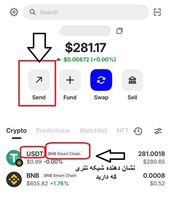 وارد کیف پول ارز دیجیتال خود شده