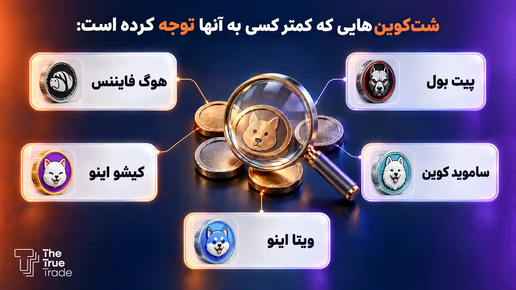معرفی ۵ شت کوین انفجاری+ ویژگی های آنان